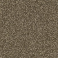 אריחי שטיחים 24 24 במיקסר זיקיות