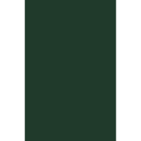 Luxpaper 100lb. Cardstock, 17, פשתן ירוק, 500 חבילה