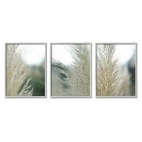 תעשיות סטופליות פמפס דשא גבוה תצלום אפור ממוסגר אמנות אמנות קיר, סט של 3, עיצוב מאת ג'ייסון ג'ונסון