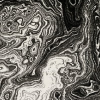 אמנותי אורגים אלדסוורת שחור מודרני 2'2' 11 אזור שטיח