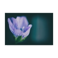 סימן מסחרי אמנות 'מאקרו פרח סגול' אמנות קנבס על ידי תמונות פיקסי