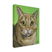 סימן מסחרי אמנות 'חתול טאבי ריגלי' אמנות בד על ידי היפי כלבם אולפני