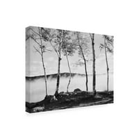 אמנות סימן מסחרי 'עצי ליבנה וערפל' אמנות קנבס מאת מונטה נגלר