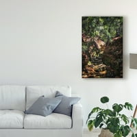 סימן מסחרי אמנות 'מברשת יער יער' אמנות קנבס על ידי תמונות פיקסי